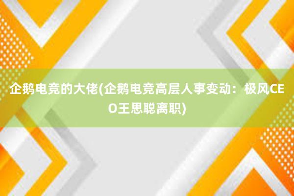 企鹅电竞的大佬(企鹅电竞高层人事变动：极风CEO王思聪离职)