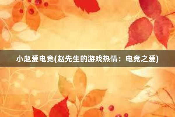 小赵爱电竞(赵先生的游戏热情：电竞之爱)